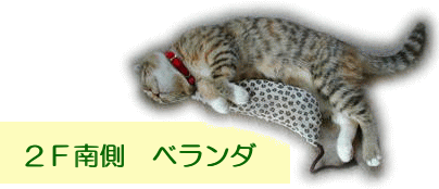 Qe쑤x_̉̕\